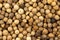 Spice background, Background made of many whole white peppercorns