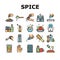 Spice Condiment Herb Collection Icons Set Vector