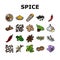 spice food herb leaf icons set vector