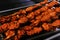 Spice marinated chicken cubes  chicken tikka skewers cooking in a clay oven known as tandoor