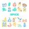 Spice Vegetable Food Collection Icons Set Vector