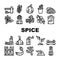 Spice Vegetable Food Collection Icons Set Vector