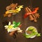 Spices badges set