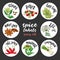 Spices and herbs labels. Colored vector spicy set
