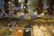 Spices, nuts and dried fruits in a Budapest Market