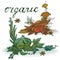 Spices organic watercolor vegetable garlic, spices,