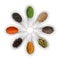 Spices in the spoons on white vector