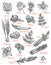 Spices store vector sketch icons of herbs