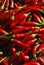 Spicy chillies