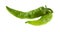 Spicy green pepper isolated on white background