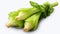 Spicy Greenery: Closeup of Wasabi Plant Isolated on White Background