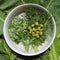 Spicy herbs in white plate with water. lovage, basil and rosemary, herbs, spice, leaves and yellow lovage flowers in my vegetarian