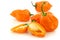 Spicy hot adjuma peppers(Capsicum chinense)