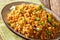 Spicy Indian Chicken Keema, with Onions, Tomatoes and Mince Closeup on a Plate. horizontal