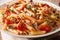 Spicy tasty penne pasta with grilled pulled pork, cheese, tomato sauce and herbs close-up on the table