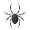 Spider black icon, spooky creepy insect symbol