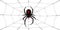 Spider Black Widow, cobweb. Red black spider 3D, spiderweb, isolated white background. Scary Halloween decoration icon