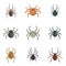 Spider bug caterpillar icons set, flat style