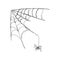 Spider crawling on the web one line art. Continuous line drawing of halloween theme, gothic, horrible, scary, black