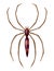 Spider. Dangerous wild insect symbol. Spooky, scary, horror design element. Use for printing, banner drawing or print