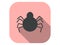Spider flat icon with shadow. Halloween, October 31st. Vector