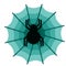 Spider flat illustration on white