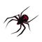 Spider flat silhouette scary, animal poisonous design. Black spider silhouette nature phobia insect danger silhouette