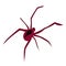 Spider flat silhouette scary, animal poisonous design. Black spider silhouette nature phobia insect danger silhouette