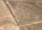 Spider Geoglyph, Nazca Lines, Peru