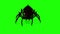 Spider On Green Screen Creepy Crawling