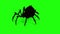 Spider On Green Screen Creepy Crawling