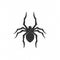 Spider hand drawn vector illustration