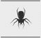 Spider icon black color on transparent