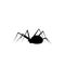 Spider Icon, Black Widow Silhouette, Halloween Symbol, Arachnid Sign, Bug Pictogram