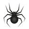 Spider icon is a flat style. Isolated on white background. Vector illustration.