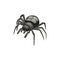 Spider icon, pest control insects extermination