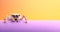 Spider insect peeking over pastel bright background. advertisement