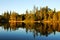 Spider lake and forest at sunset