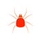 Spider Mite icon