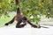 Spider Monkey Eating Guava