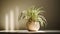 Spider Plant pot indoors with natural sunlight. Generative AI