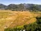 Spider rice field aerial