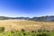 Spider rice fields wide angle.