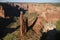 Spider Rock in the Canyon De Chelly