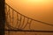 Spider\'s suspension bridge