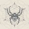 Spider and sacred geomerty  sketch vector  illustration.