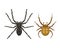 Spider silhouette arachnid fear graphic flat scary animal poisonous design nature phobia insect danger horror tarantula