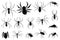 Spider silhouette collection. Black close-up insect, scary big spider isolated on white. Poisonous dangerous animal