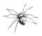 Spider - silver metallic. Black Widow