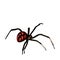 Spider sketch drawing vector